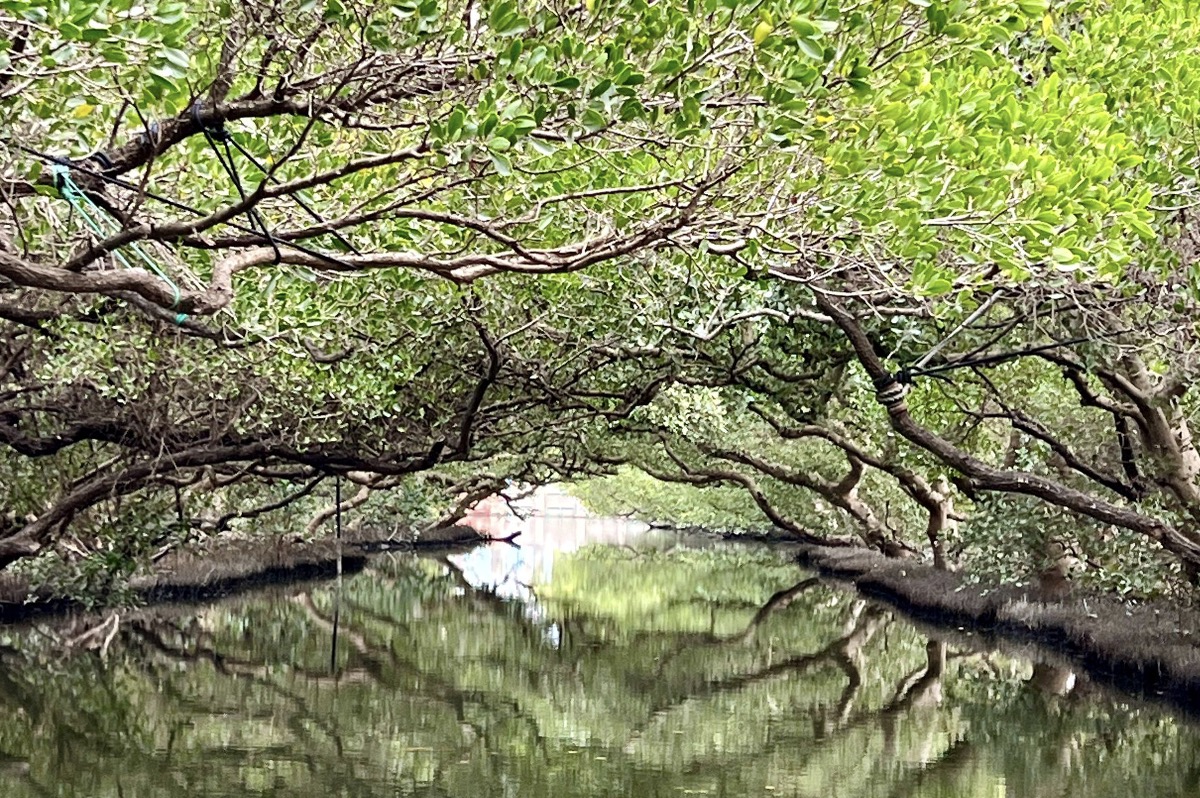 【自然生態】與山海共舞的大地樂章，探索自然的無盡奧秘
