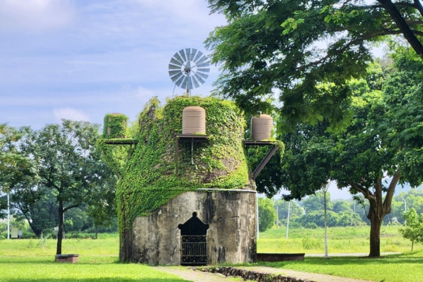 【雲林】田園與廟會的樂土，雲林是台灣鄉村的心臟