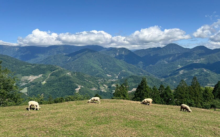 運動與健康,單車騎行,單車旅行,CyclingTaiwan,CyclingAdventure,CustomTourGroup,OverseasCyclistsInTaiwan,新加坡車友,海外車友騎台灣,山海戀單車,專案訂製,北進武嶺,日月潭,清境日出,石門山步道,清境農場,埔里酒廠