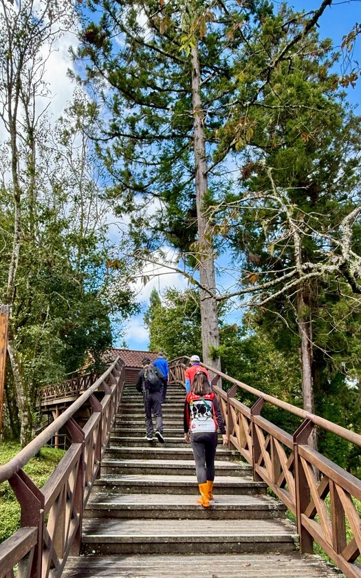 CyclingTaiwan,CyclingAdventure,單車看見台灣,台灣旅遊,單車騎行台灣,山海戀單車,阿里山雙鐵,鐵道鐵馬,戀山戀海戀單車,祝山觀日出,玉山,阿里山森鐵,巨木棧道