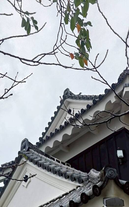 CyclingJapan,CyclingAdventure,單車看見台灣,台灣旅遊,單車騎行台灣,山海戀單車,單車看見世界,海內外車友騎日本,環四國挑戰,島波海道,松山城,道後溫泉,讚岐烏龍麵,瀨戶內海,正岡子規,夏目漱石