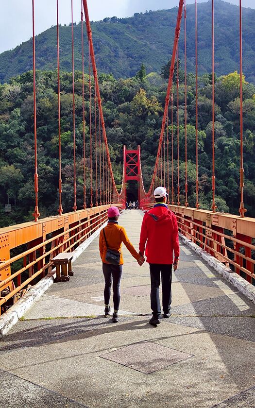 CyclingTaiwan,CyclingAdventure,單車看見台灣,台灣旅遊,單車騎行台灣,專案團,拉拉山巨木群,三龜溪觀景台,巴陵雙橋,榮華大壩,北橫之星,小烏來