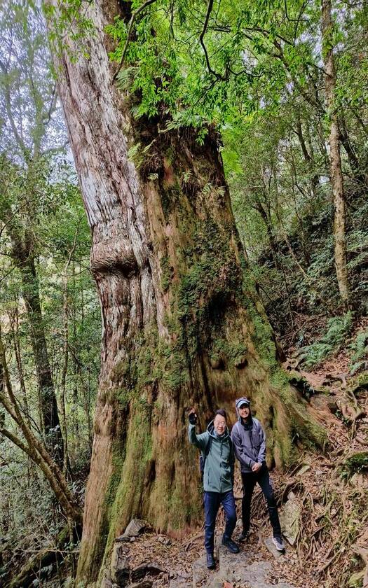 CyclingTaiwan,CyclingAdventure,單車看見台灣,台灣旅遊,單車騎行台灣,專案團,拉拉山巨木群,三龜溪觀景台,巴陵雙橋,榮華大壩,北橫之星,小烏來