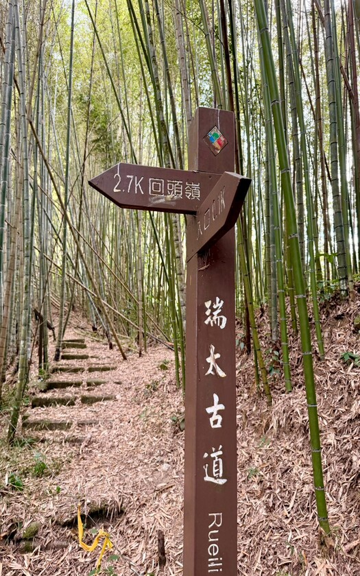 CyclingTaiwan,CyclingAdventure,單車看見台灣,台灣旅遊,單車騎行台灣,海外車友遊台灣,阿里山雙鐵,專案團,阿里山雙鐵 ,鐵道鐵馬,阿里山森林鐵路,巧雲小棧,龍王金殿,梨園寮車站,交力坪車站,水社寮車站,圓潭自然生態園區,瑞太古道,上川觀景台,奮起湖車站