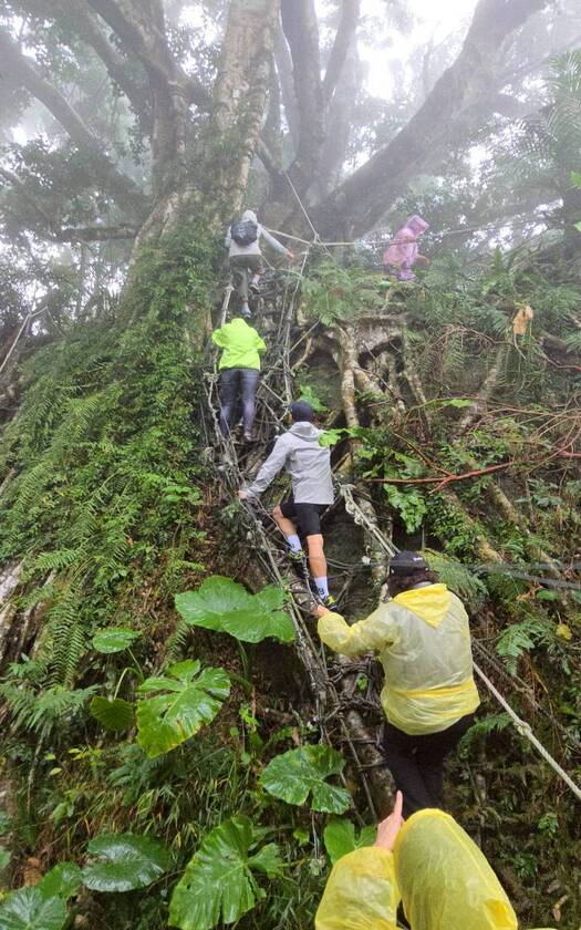 CyclingTaiwan,CyclingAdventure,單車看見台灣,台灣旅遊,單車騎行台灣,海外車友遊台灣,斯卡羅卑南道,卑南文化,布農文化,鸞山森林文化博物館,會走路的樹,山里車站,到不了的車站,十股綠色隧道,豐源國小,卡大地布部落,釋迦,知本溫泉