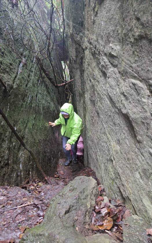 CyclingTaiwan,CyclingAdventure,單車看見台灣,台灣旅遊,單車騎行台灣,海外車友遊台灣,斯卡羅卑南道,卑南文化,布農文化,鸞山森林文化博物館,會走路的樹,山里車站,到不了的車站,十股綠色隧道,豐源國小,卡大地布部落,釋迦,知本溫泉