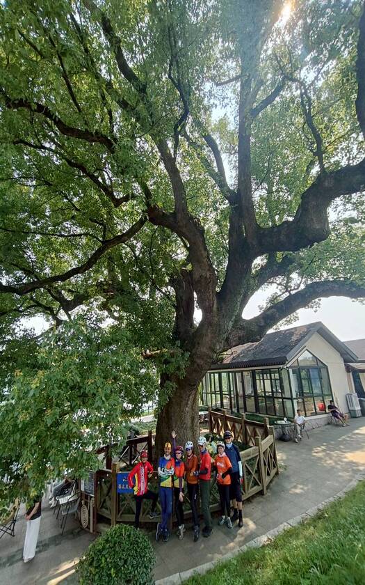 CyclingTaiwan,CyclingAdventure,單車看見世界,大陸旅遊,biketour,單車自由行,杭韻浙西,水墨江南單車自由行,杭州旅行,良渚古城遺址公園,良渚文明,瓶窯古鎮,苕溪綠道,東苕溪,香樟樹,宣杭拾憶鐵路主題公園,綠皮火車,南湖未來科學園,中國飛谷,江南文化騎旅