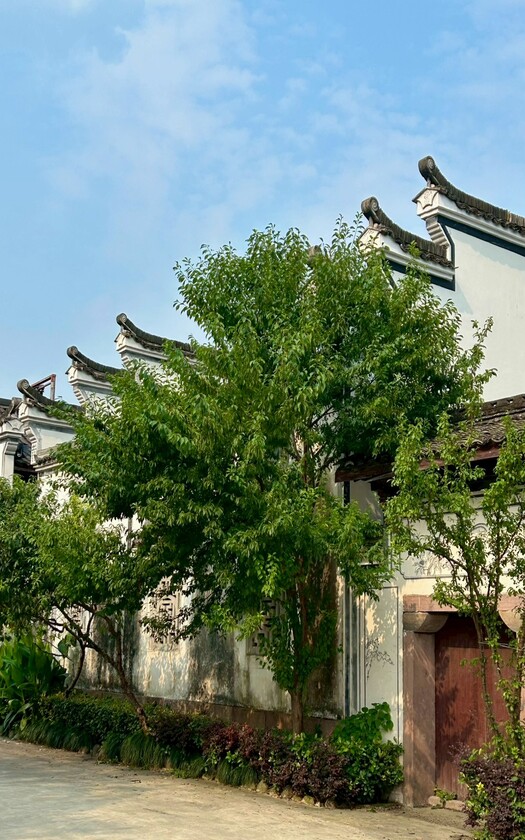 CyclingTaiwan,CyclingAdventure,單車看見世界,大陸旅遊,biketour,單車自由行,杭韻浙西,水墨江南單車自由行,臨安旅行,青山湖水上森林,池杉,落羽杉,皮划艇,昌化刀切麵,非遺美食,柳溪江,昌文線,淳北山水綠道,河橋古鎮,徽派老街,湍口溫泉,單車旅行,中國單車旅行