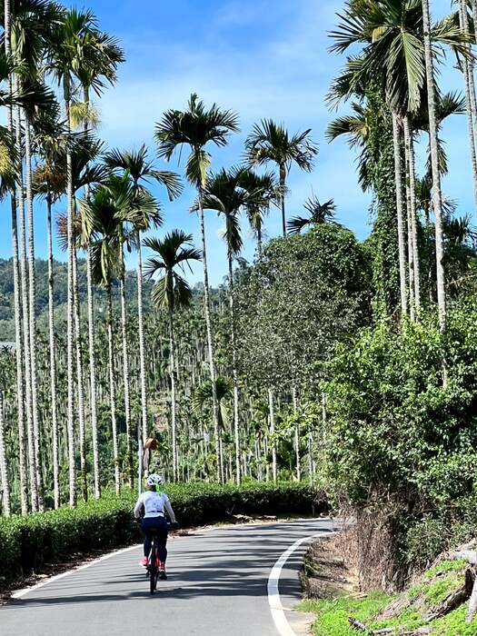 CyclingTaiwan,CyclingAdventure,單車看見台灣,台灣旅遊,biketour,海外車友騎台灣,阿里山新雙鐵,鐵馬鐵道,阿里山林業鐵路,太平,巧雲小棧,龍王金殿,太興飛瀑,梨園寮車站,交力坪車站,雲潭瀑布,水社寮車站,檜木列車,圓潭自然生態園區,瑞里綠色隧道,青葉山莊,阿里山騎旅,台灣單車旅行