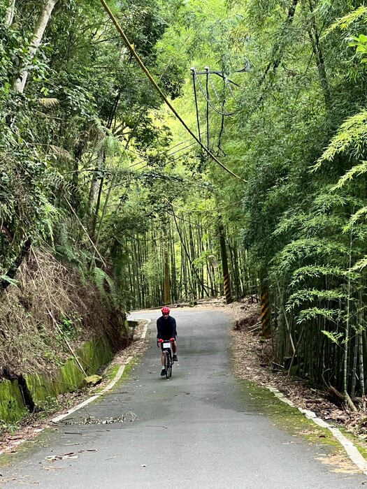 CyclingTaiwan,CyclingAdventure,單車看見台灣,台灣旅遊,biketour,海外車友騎台灣,阿里山新雙鐵,鐵馬鐵道,阿里山林業鐵路,太平,巧雲小棧,龍王金殿,太興飛瀑,梨園寮車站,交力坪車站,雲潭瀑布,水社寮車站,檜木列車,圓潭自然生態園區,瑞里綠色隧道,青葉山莊,阿里山騎旅,台灣單車旅行