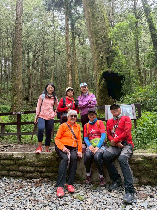CyclingTaiwan,CyclingAdventure,單車看見台灣,台灣旅遊,biketour,海外車友騎台灣,阿里山新雙鐵,鐵馬鐵道,阿里山林業鐵路,奮起湖,迷糊步道,十字路車站,二萬坪車站,樹抱石,抱石巨木,夫妻神木,阿里山車站,沼平車站,水山神木,水山神木療癒步道,阿里山國家森林遊樂區,紅檜神木,祝山日出,台灣單車旅行,阿里山騎旅