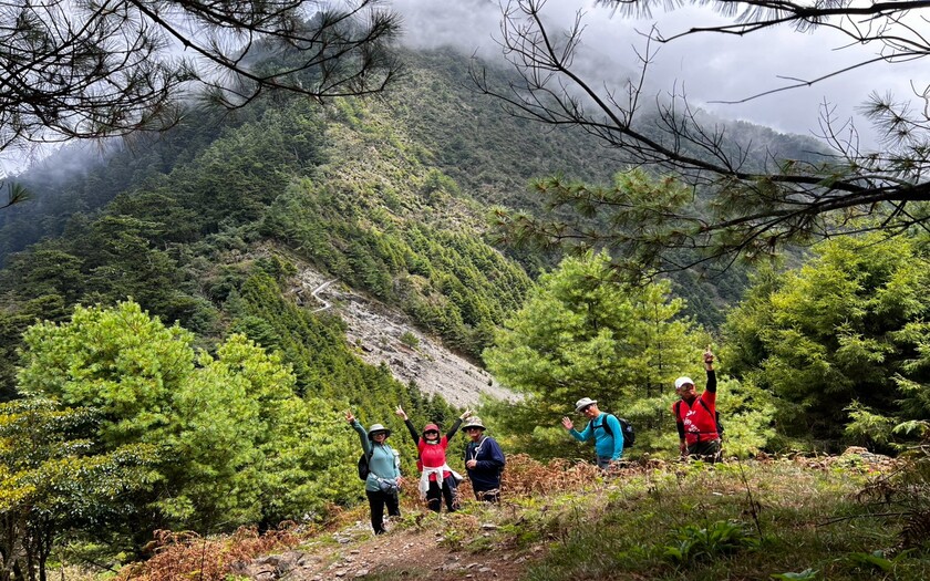 山海戀單車車友沿著步道走過巍峨矗立數百年的大鐵杉，穿越參天老杉與二葉松環繞的森林。林蔭遮蔽陽光，空氣清冷而乾淨，直到轉入麟趾山登山口。