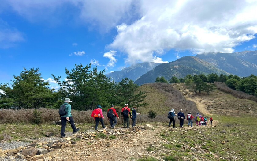 山海戀單車車友沿著步道走過巍峨矗立數百年的大鐵杉，穿越參天老杉與二葉松環繞的森林。