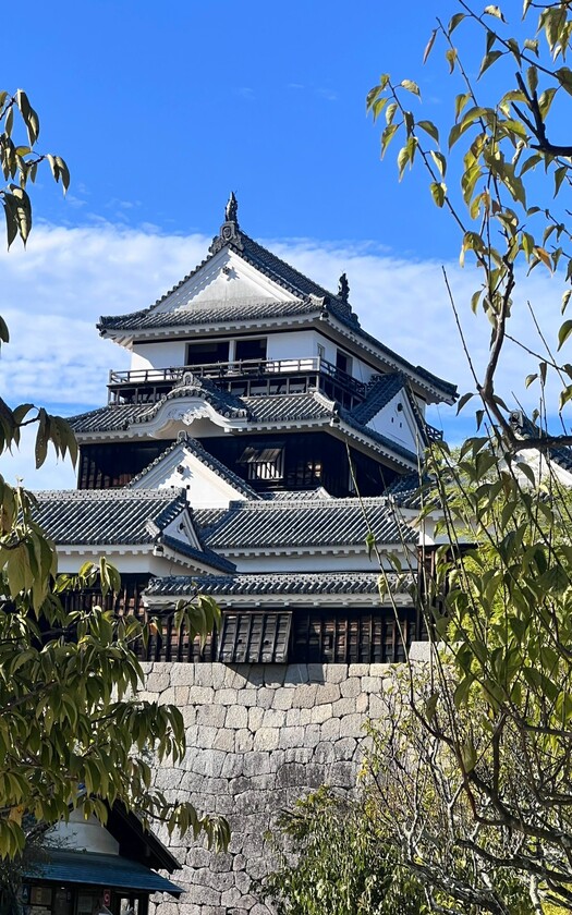 山海戀單車車友在日本愛媛縣松山市的松山城，是日本現存「12座江戶時代以前建造的天守閣」之一。