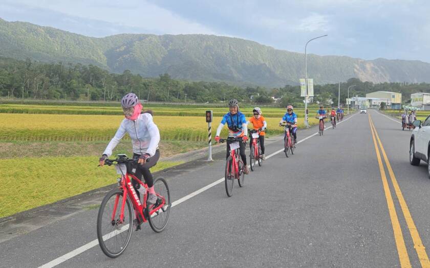 山海戀車友香港不老騎士公益環島D10騎行於台東伯朗大道金黃稻穗搖曳中。