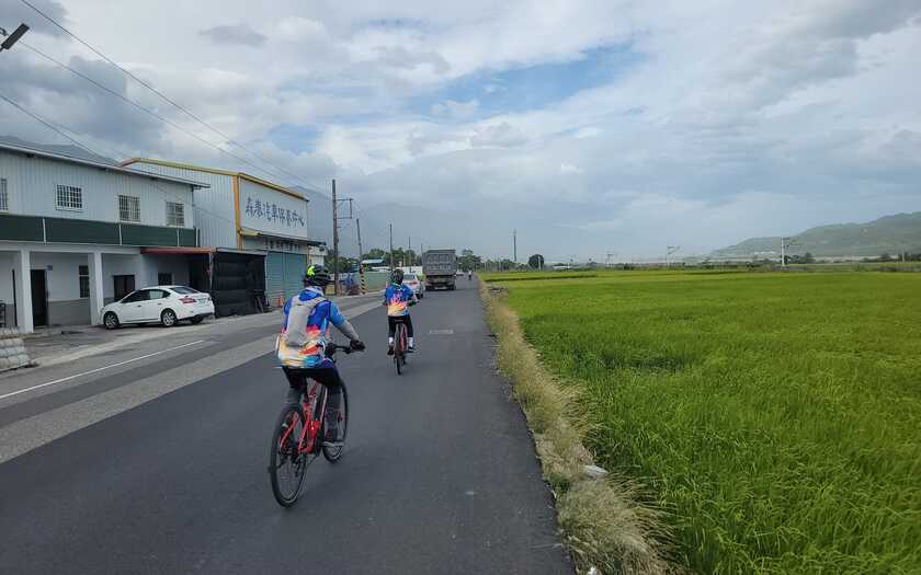 山海戀車友香港不老騎士公益環島D10騎行於台東稻田路徑旁。